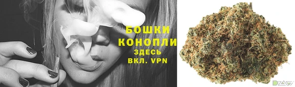 СК Гусь-Хрустальный