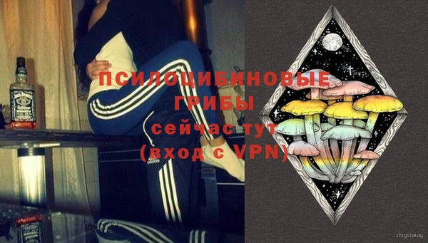 экстази Гусев