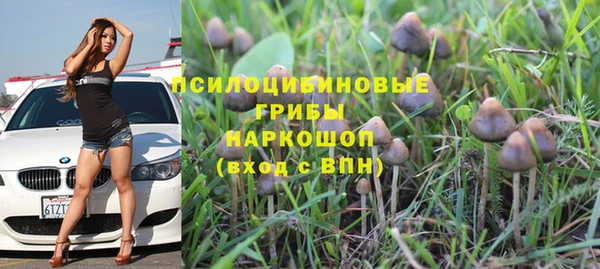 СК Гусь-Хрустальный