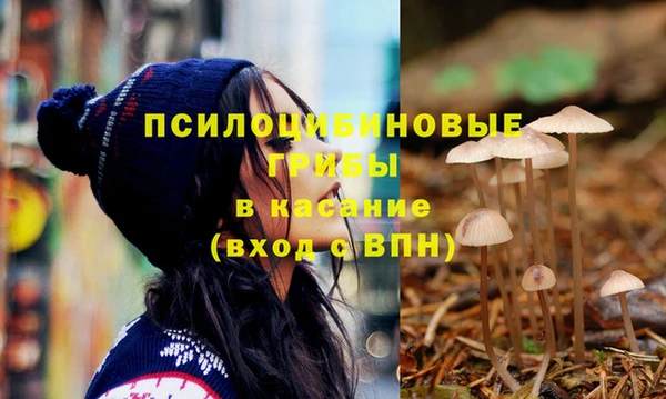 СК Гусь-Хрустальный