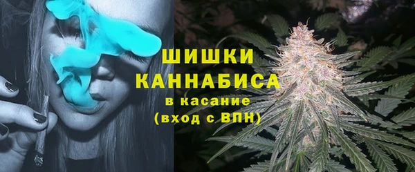 СК Гусь-Хрустальный
